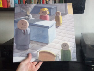 Winylowe środy Sunny Day Real Estate - Diary (2009 EDITION)
